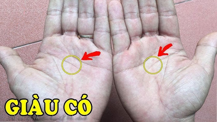 Cung tài lộc nằm ở đâu trên mặt?