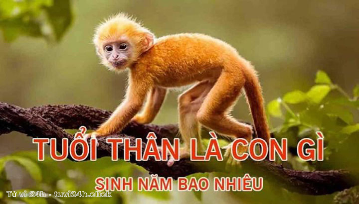 tử vi tuổi thân